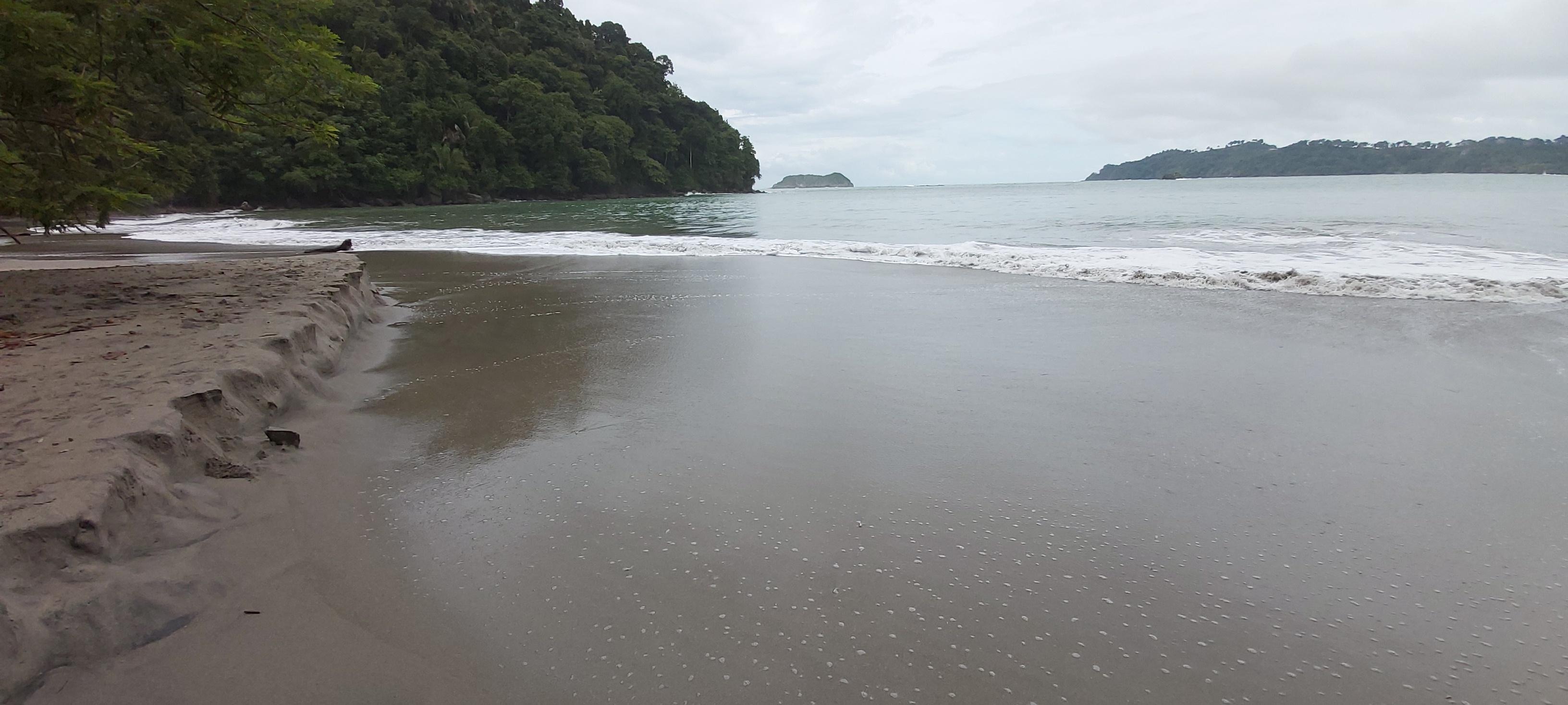 2026 Costa Rica: Corcovado & Manuel Antonio Parks